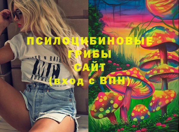 герыч Медвежьегорск