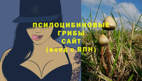 apvp Вязники