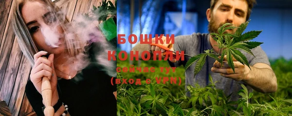 стафф Медногорск