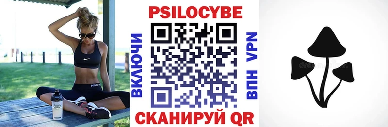 купить   Советская Гавань  Галлюциногенные грибы Psilocybe 