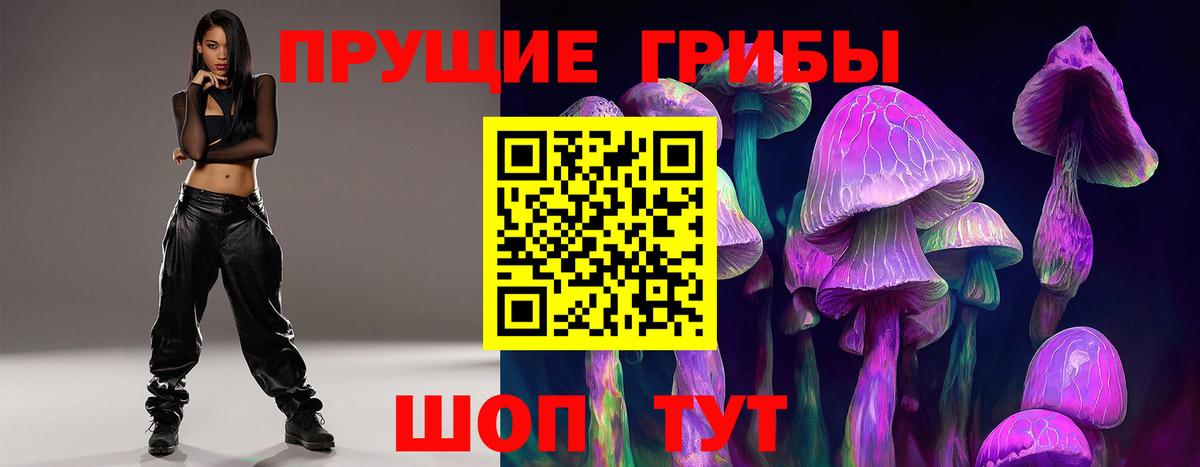 сколько стоит  Галлюциногенные грибы Cubensis  Вход с VPN  Советская Гавань 